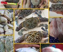 Pasar segar ikan malaya, Barang dapur Basah segar serta sayur dan buah-buahan..., semuanya ada