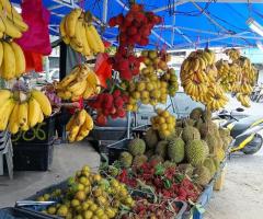 Gerai menjual pelbagai buah buahan tempatan, puchong