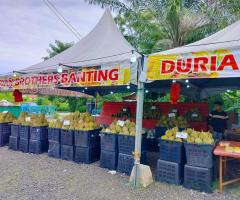 Durian Brothers Banting