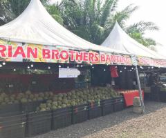 Durian Brothers Banting