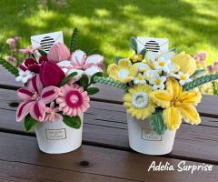 🎉🎉 surprise delivery by adelia surprise