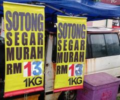 ‼️SOTONG SEGAR MURAH‼️ Kota kemuning