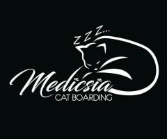 Menyediakan pet sitter & pet hotel utk kucing, arnab, gp & small animal