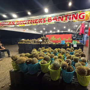 Durian Brothers Banting